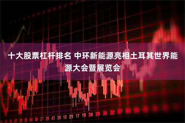 十大股票杠杆排名 中环新能源亮相土耳其世界能源大会暨展览会