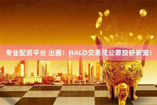 专业配资平台 出圈！HALO交易成公募投研新宠！